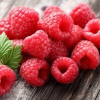 shutterstock_137478764