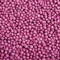 BA062 Blackcurrant Millions 360 x 300