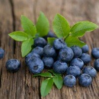 Blueberry Flavour e liquid
